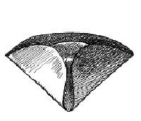 civilian tricorne