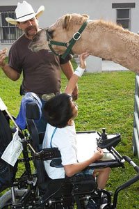 Baby camel at the Walk-FUN-Roll petting zoo